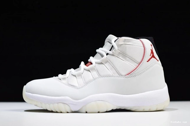 Jordan 378037-016 Platinum Tint Retro Air 11 0812